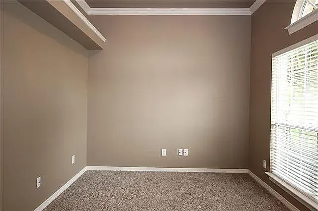 11902 Cobblestone Dr — Photo 3