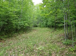 Tower Rd, Curran, MI 48728