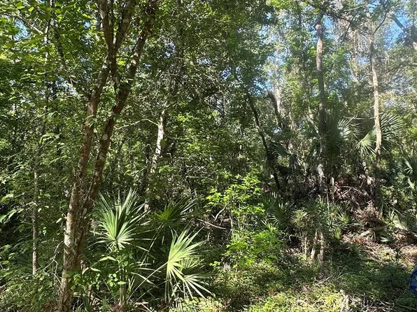 420 558th St, Old Town, FL 32680