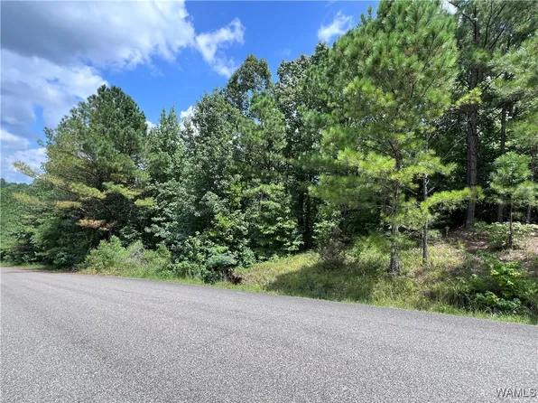 0 Rosser Ests, Duncanville, AL 35456