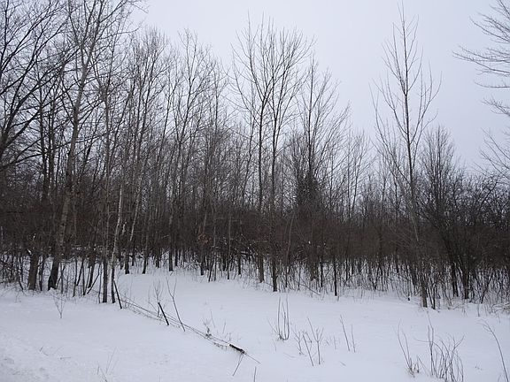 5th image of 150th St