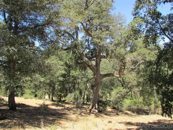 1060 Julian Estates Road 13, Julian, CA 92036