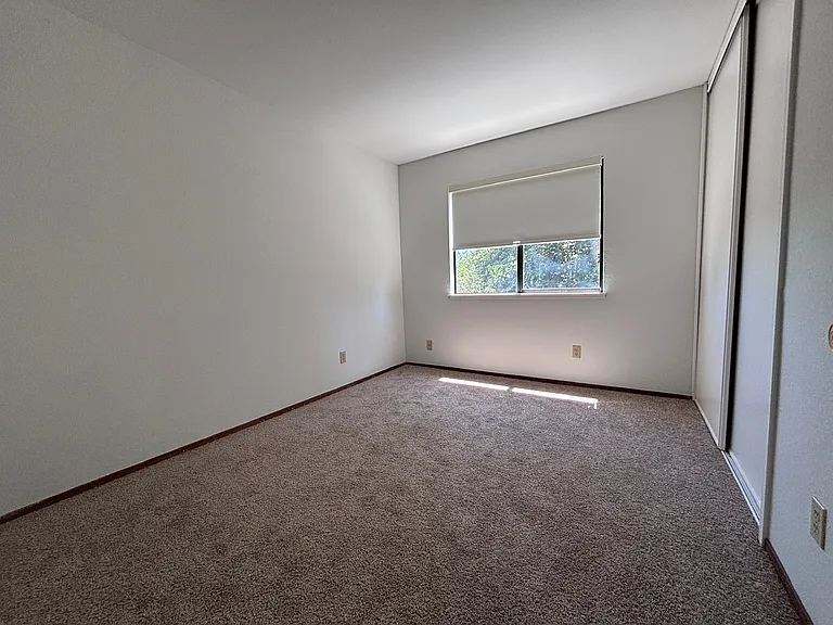 3099 Pecan Cir — Photo 20