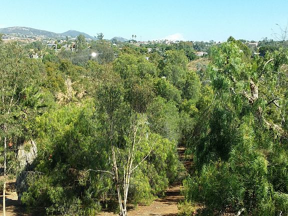 View from Great Space