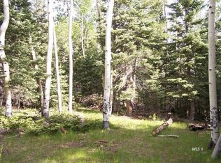 28 Bald Eagle Cir, Westcliffe, CO 81252