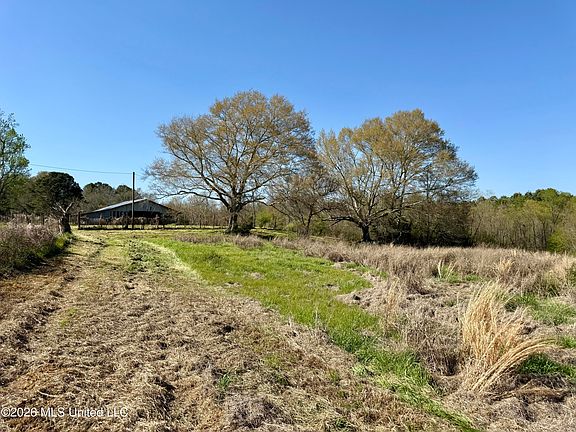 2nd image of Neal Rd