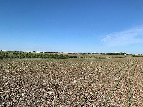 5th image of 0 County Road 3 #N