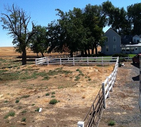 Fenced in horse area