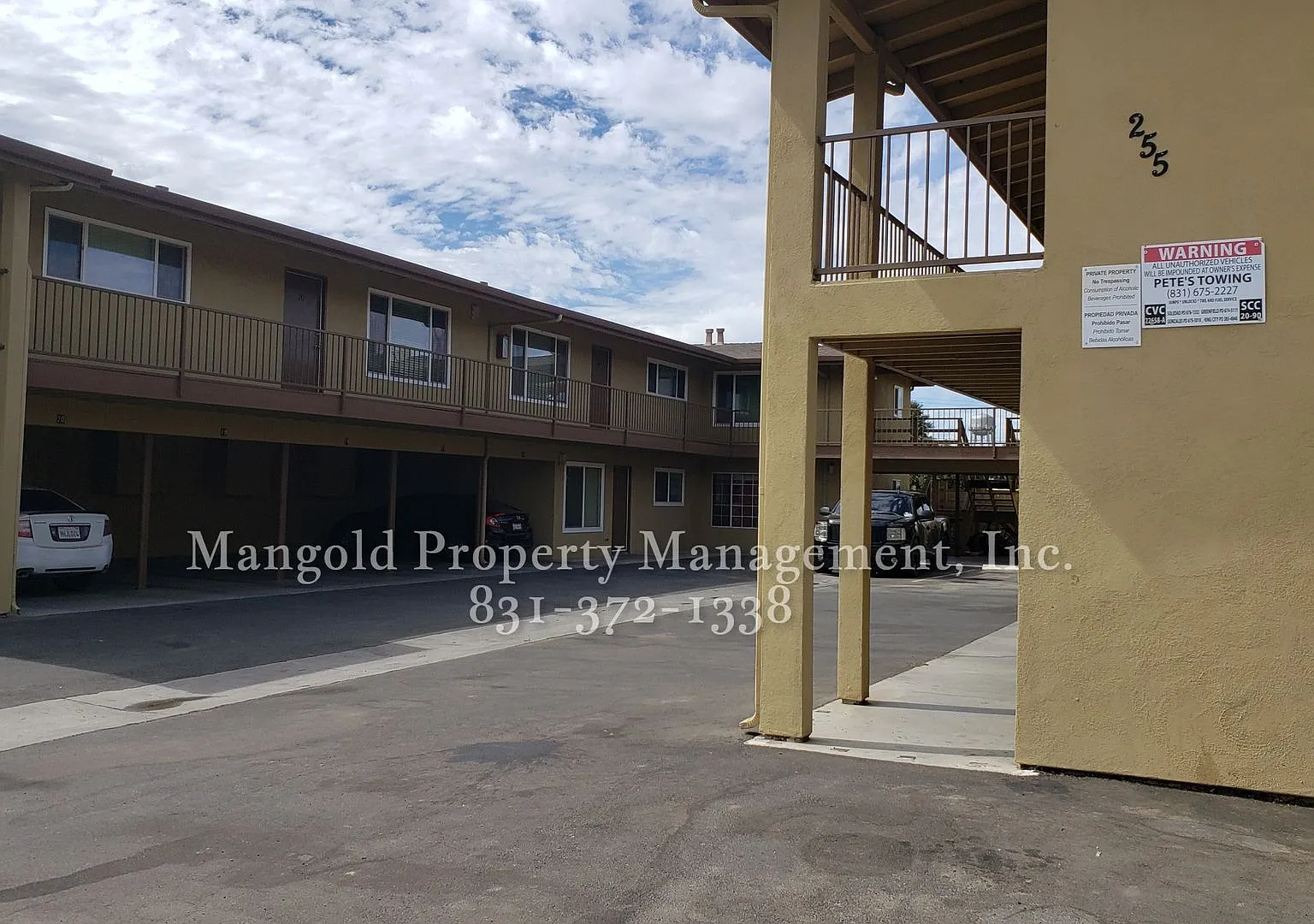 255four — Photo 4