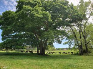 0 00 Whitehouse Pkwy, Woodbury, GA 30293