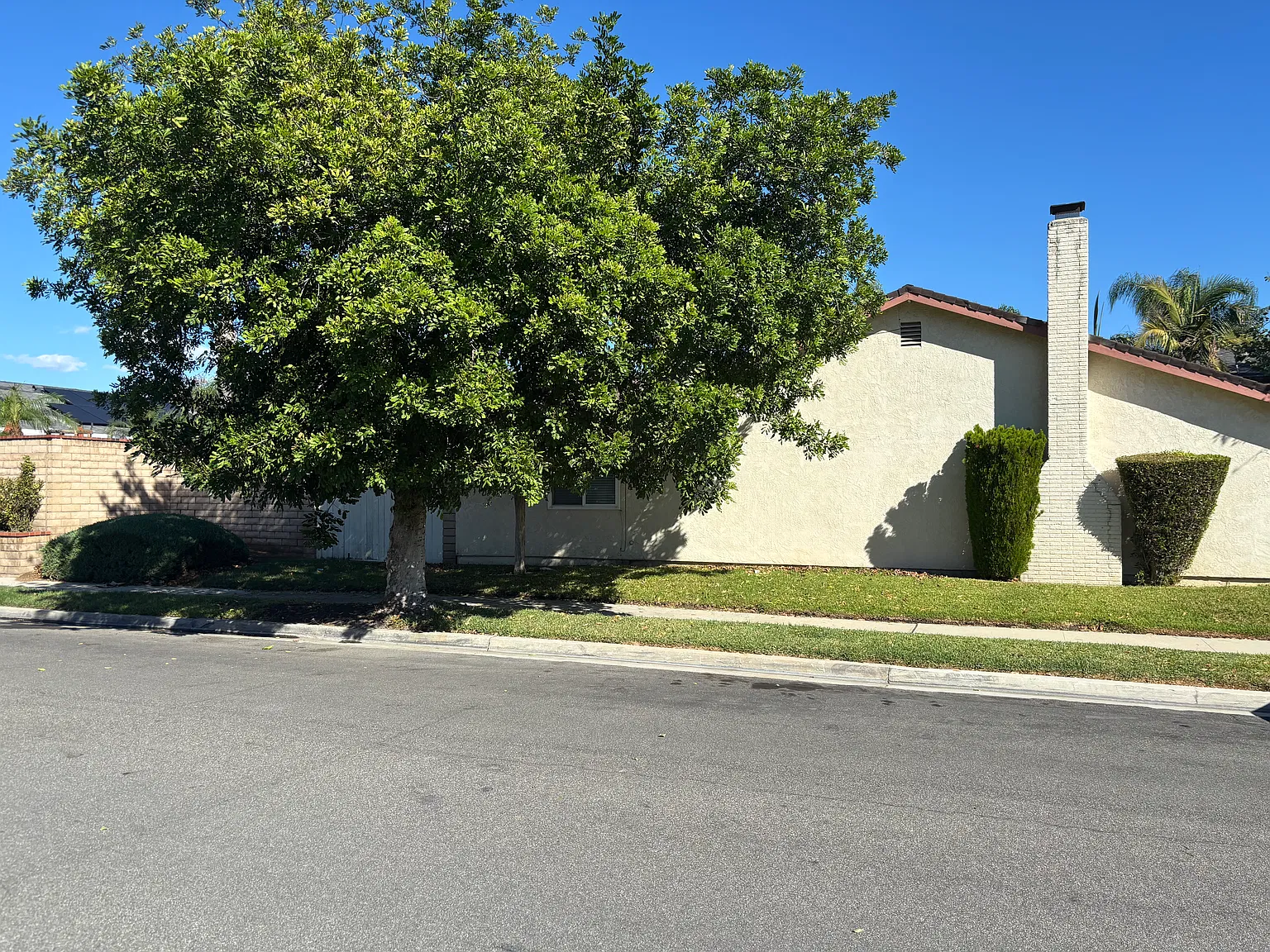 3 bed, 1710 sqft, $3,600 — Photo 2