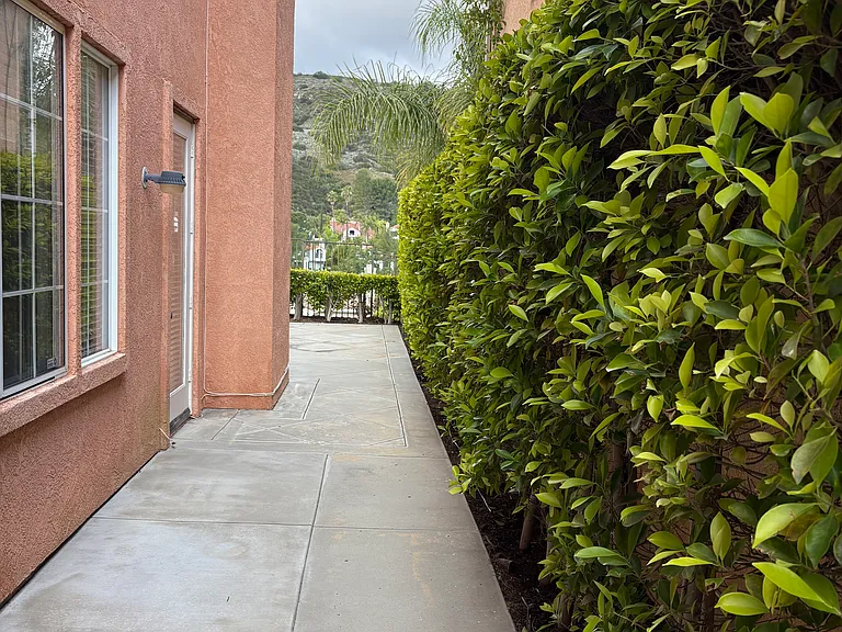 3657 Calle Jazmin — Photo 4