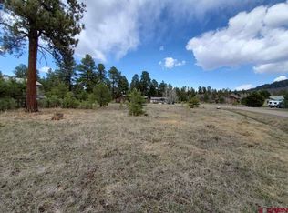 20 E Cotton Ct, Pagosa Springs, CO 81147