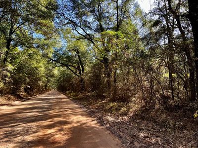 Westmont St, Geneva, AL, 36340