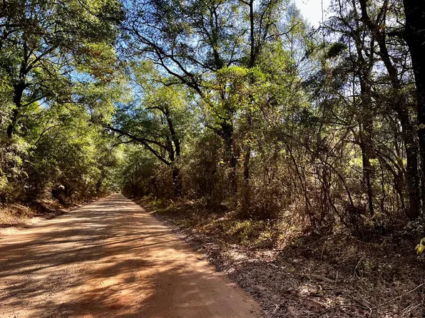 Westmont St, Geneva, AL 36340