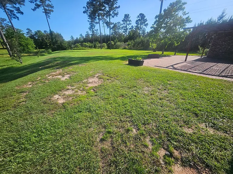 339 Beltz Rd — Photo 31
