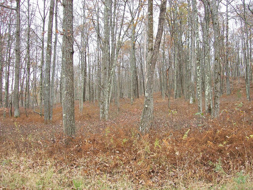 2nd image of Duck Harbor Rd
