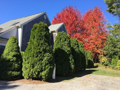 75 Blue Spruce Way, Mashpee, MA, 02649