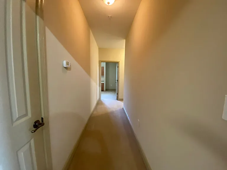 1732 Muscovy Way — Photo 35