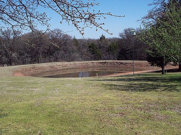 Pond in front yard.  View from living room.