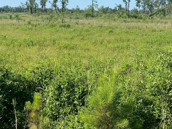 0 Charlie Kie Rd, Rayville, LA 71269