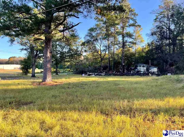 504 Averette St, Nichols, SC 29581