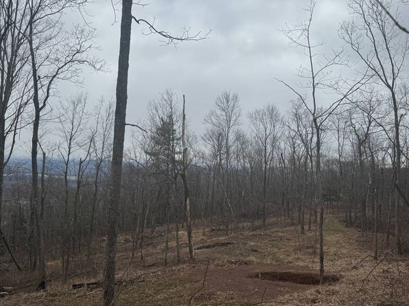 224 Fire Tower Rd, Mehoopany, PA 18629