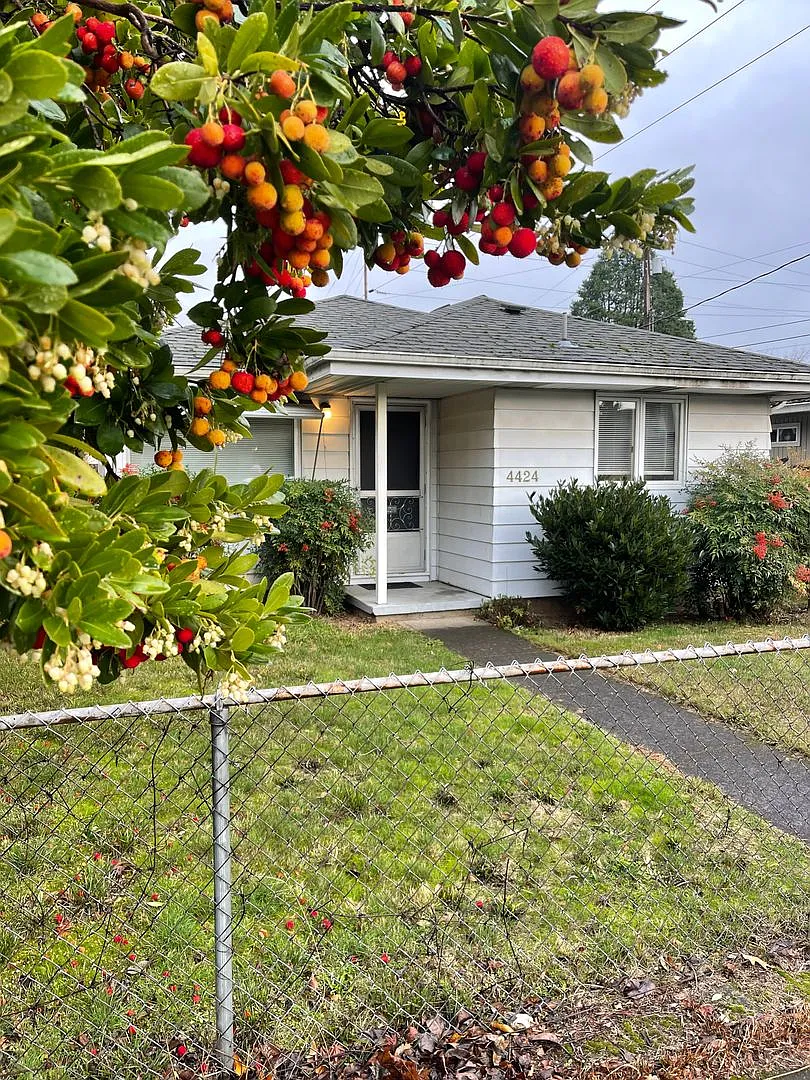 Adorable 2 bed 1 bath in the Foster-Powell neighborhood!! Like new remodeled — Photo 3