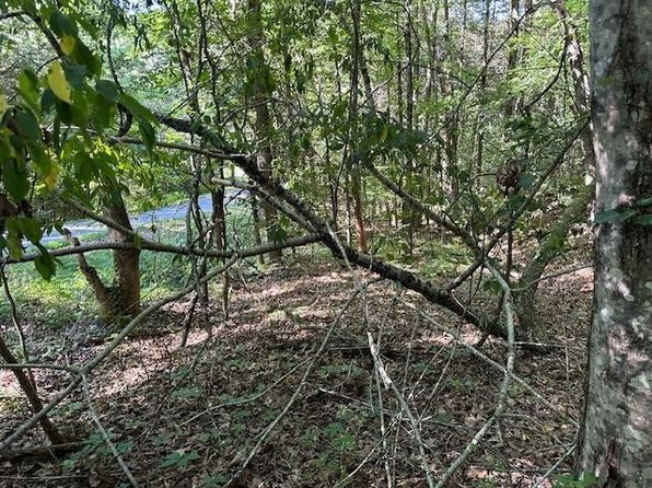 0 Cummins Rd LOT 3, Eva, TN 38333