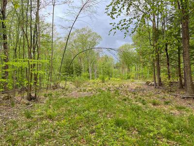 31 Circuit Rd, Ossipee, NH, 03864