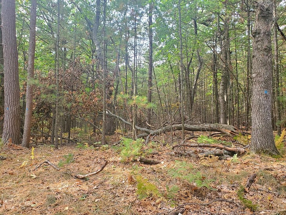 2nd image of 6917 S Lakeshore Dr
