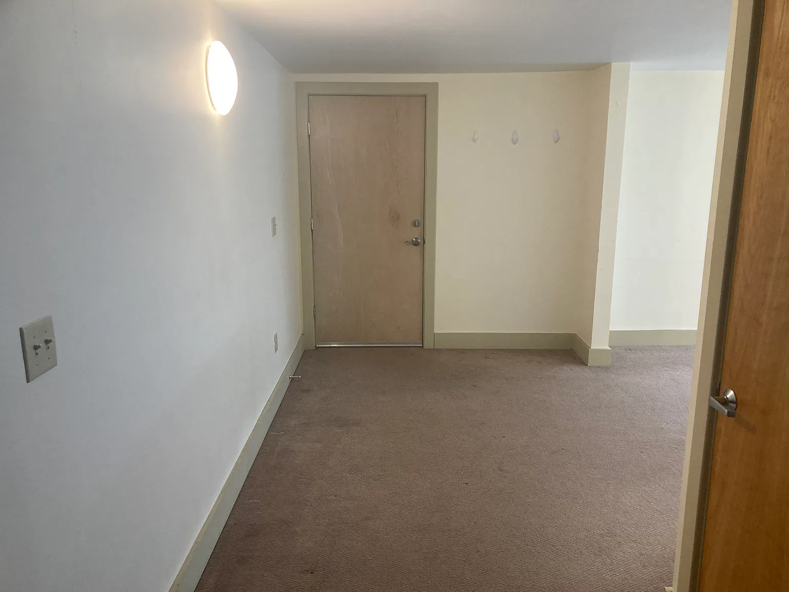 1 bed, 1242 sqft, $1,500 — Photo 3