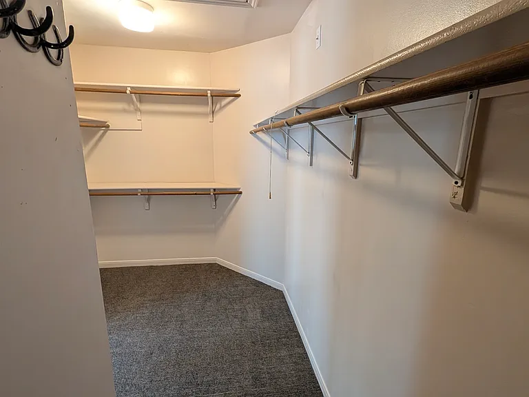 This main bathroom has this massive closet (60 square feet) with efficient shelving and hanging space.