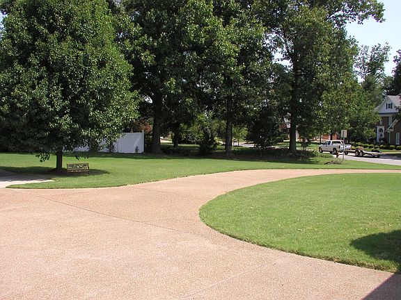 Backyard with Back Driveway