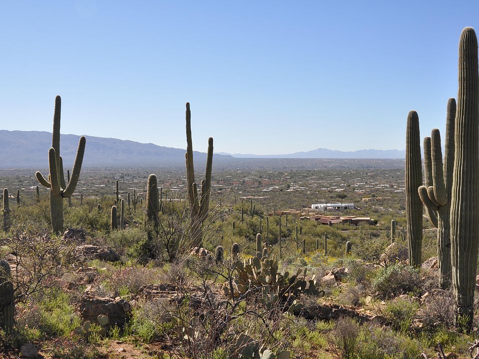 1st image of 5286 N Mesquite Canyon Pl #13