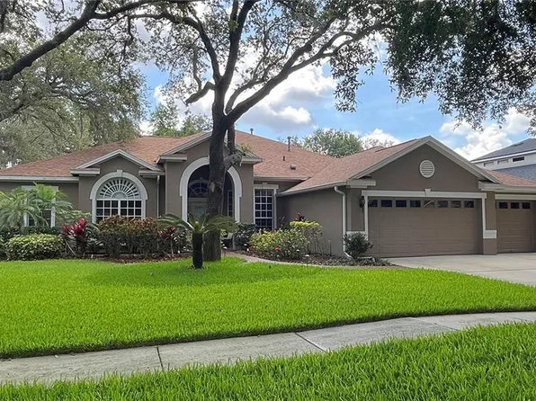 5704 Eaglemount Cir, Lithia, FL 33547