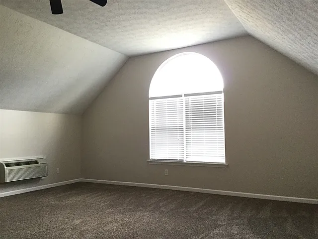 121 Luna Ln — Photo 9