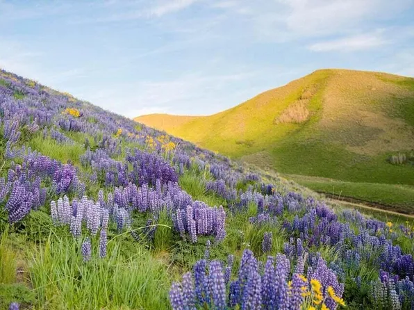 1700 Quigley Farm Rd, Hailey, ID 83333