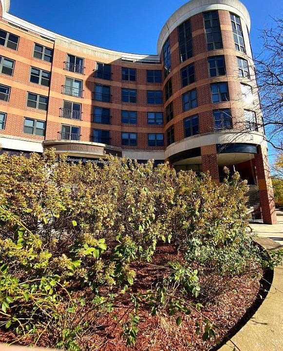 1st image of 350 W Belden Ave #203