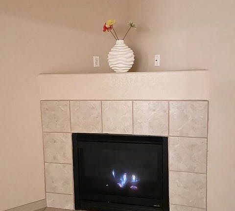 Gas fire place