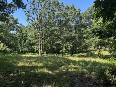 000 Mulberry Drive, Mountain Grove, MO, 65711