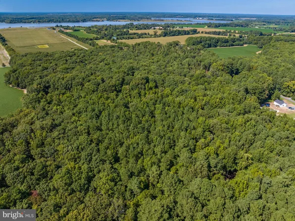 Burrisville Rd, Centreville, MD 21617