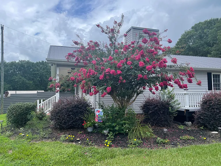 1619 Cedar Rock Church Rd — Photo 48