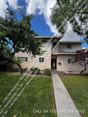 1877 Palo Verde Ave Photo 1