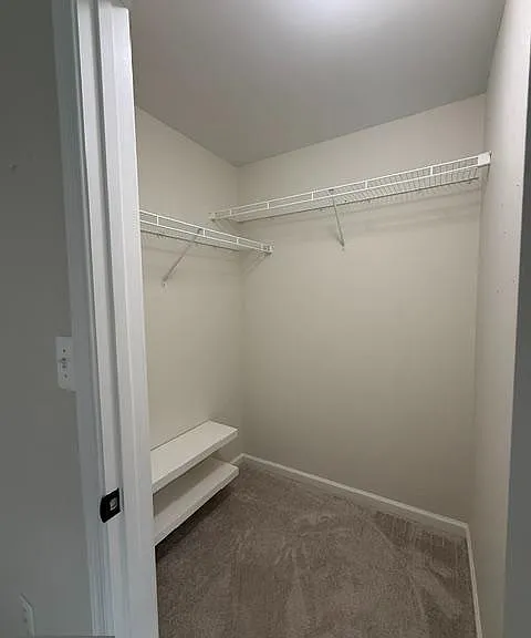 21775 Winter Bloom Ln — Photo 11