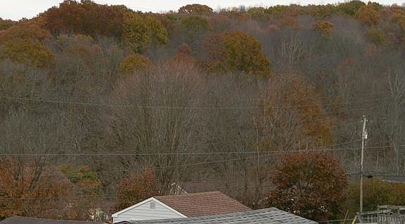 4th image of 2321 Locust St