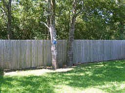 4th image of 17807 S White Tail Ct