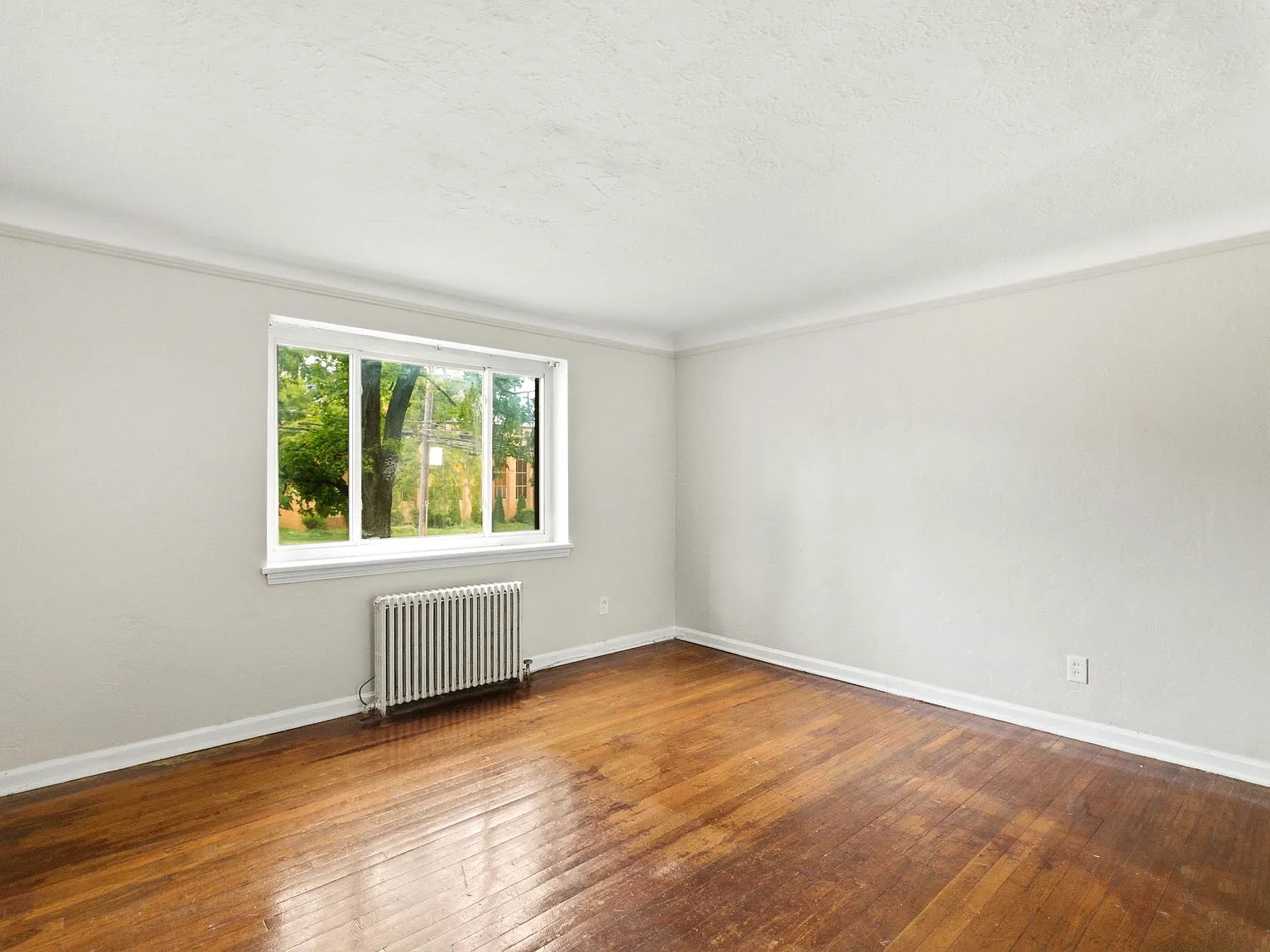 1 bed, 540 sqft, $950 — Photo 3