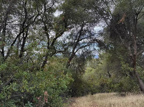 Bowman Rd, Pine Grove, CA 95665