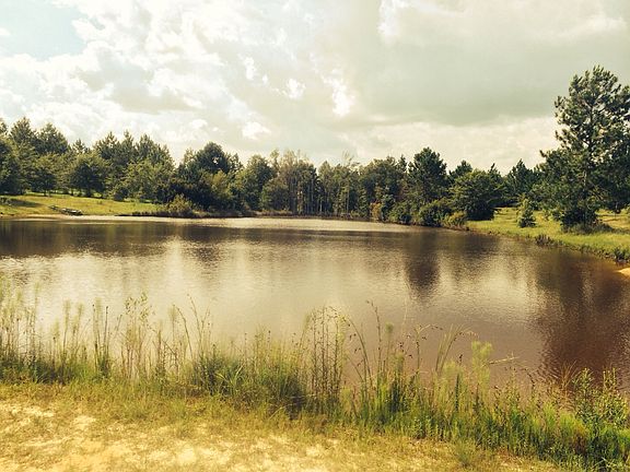 Front pond 1 acre(stocked)